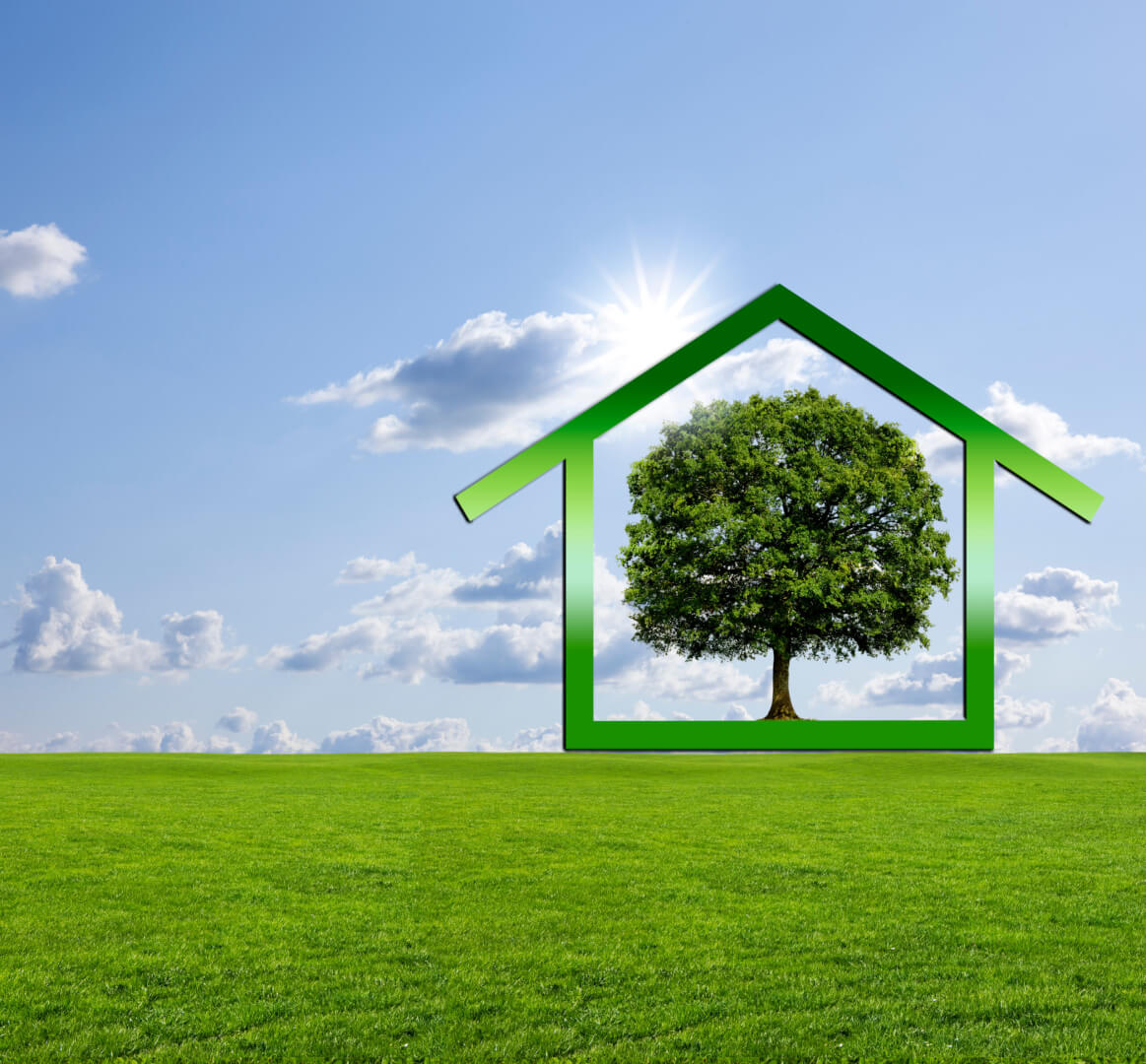 Blühender Baum in einem Haus auf einer Wiese.